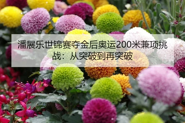 潘展乐世锦赛夺金后奥运200米兼项挑战：从突破到再突破