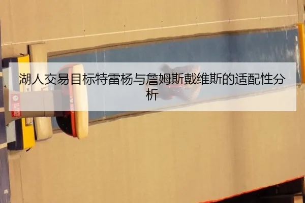 湖人交易目标特雷杨与詹姆斯戴维斯的适配性分析