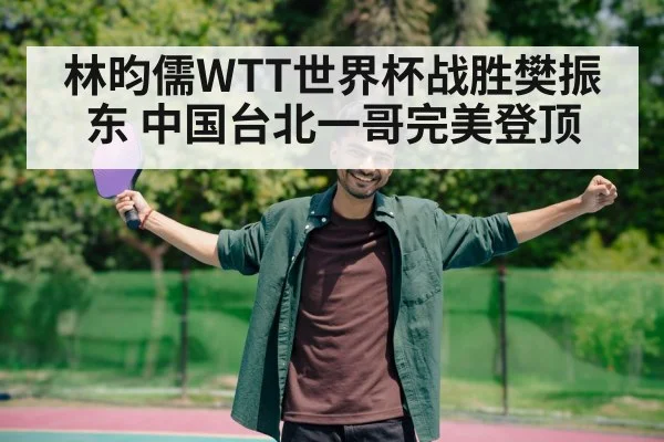 林昀儒WTT世界杯战胜樊振东 中国台北一哥完美登顶